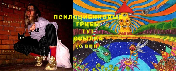 экстази Лиски