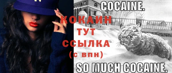 молекула духа Липки