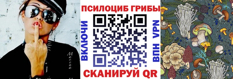 закладка Сорочинск блэк спрут ONION Галлюциногенные грибы GOLDEN TEACHER